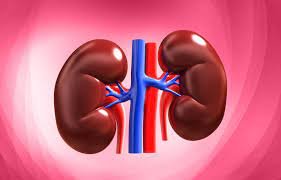 WE ARE IN NEED OF A KIDNEY DONOR ... Nephrology Dr Max