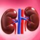 NEPHROLOGY DOCTOR MAX.