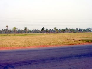 Land For Lease or Sale in Tallarevu Yanam
