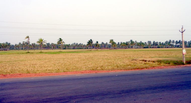 Land For Lease or Sale in Tallarevu Yanam