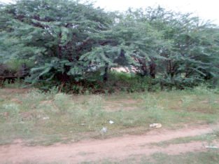387 Sq Yards Land For Sale at Kathipudi