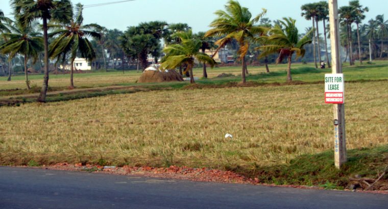 Land For Lease or Sale in Tallarevu Yanam