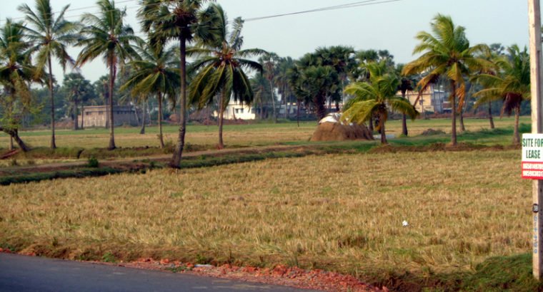 Land For Lease or Sale in Tallarevu Yanam