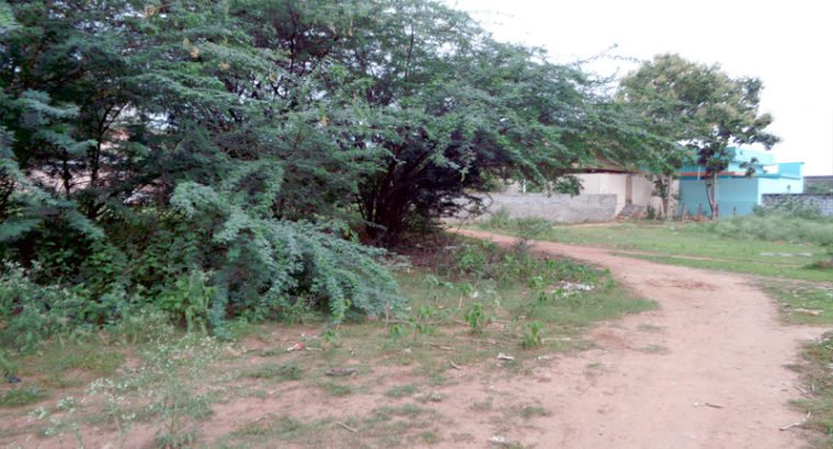 387 Sq Yards Land For Sale at Kathipudi
