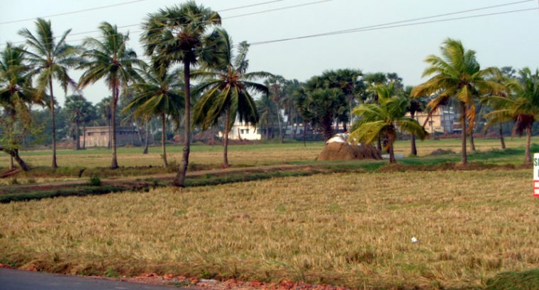 Land For Lease or Sale in Tallarevu Yanam