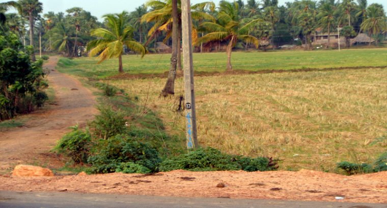 Land For Lease or Sale in Tallarevu Yanam