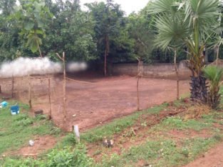 403 Sq Yards Plot For Sale at Tammayapeta, Bendapudi