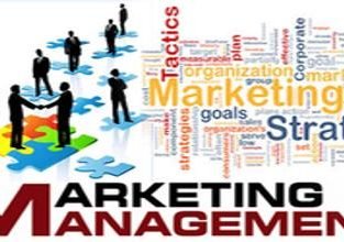 Marketing Executives