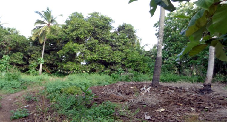 Agriculture Land For Sale at Katrenikona, Mummidivaram