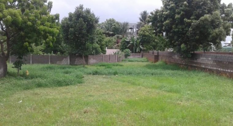 Site for Lease or Rent at Gaigalapadu, Sarpavaram Road, Kakinada