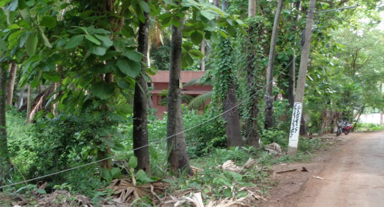 Agriculture Land For Sale at Katrenikona, Mummidivaram