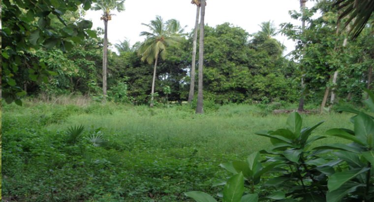 Agriculture Land For Sale at Katrenikona, Mummidivaram