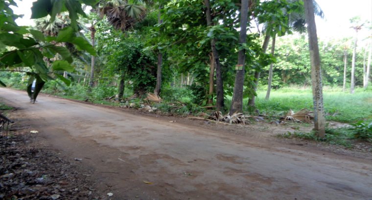 Agriculture Land For Sale at Katrenikona, Mummidivaram