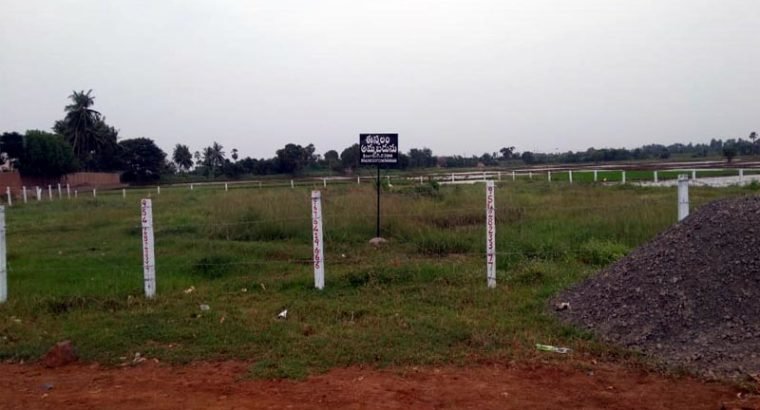 Open Site for Sale at Gollaprolu, Kakinada