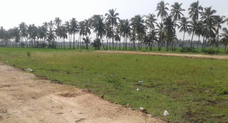 DTCP Approved Plots For Sale at Veeravasam to Marteru Lane (Penumantra Mandalam)