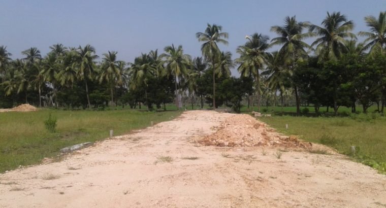 DTCP Approved Plots For Sale at Veeravasam to Marteru Lane (Penumantra Mandalam)