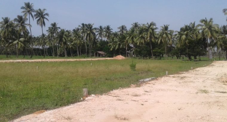 DTCP Approved Plots For Sale at Veeravasam to Marteru Lane (Penumantra Mandalam)