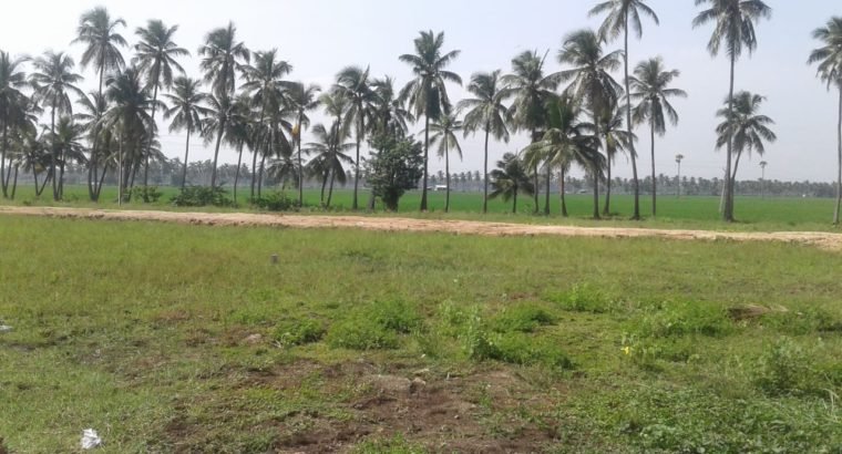 DTCP Approved Plots For Sale at Veeravasam to Marteru Lane (Penumantra Mandalam)