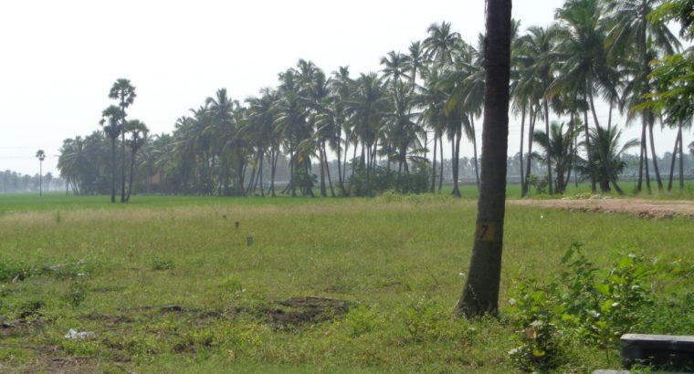 DTCP Approved Plots For Sale at Veeravasam to Marteru Lane (Penumantra Mandalam)