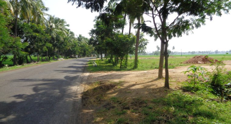 DTCP Approved Plots For Sale at Veeravasam to Marteru Lane (Penumantra Mandalam)