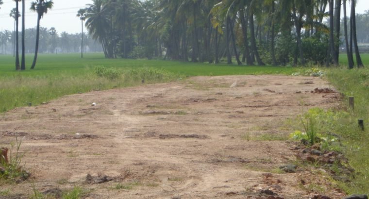 DTCP Approved Plots For Sale at Veeravasam to Marteru Lane (Penumantra Mandalam)