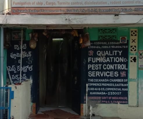 Quality Fumigation & Pest Control Services, Commercial Road, Kakinada