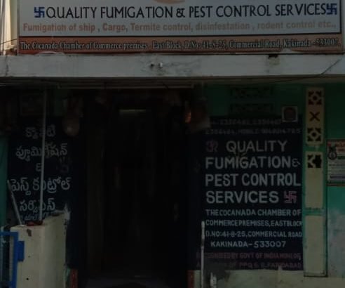 Quality Fumigation & Pest Control Services, Commercial Road, Kakinada