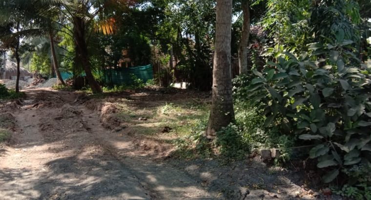 Residential Site for Sale at Pithanivaripalem, Amalapuram