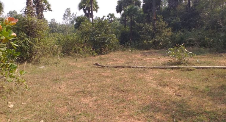 Plot for Sale at Diwancheruvu New Highway, Opp Autonagar, Rajahmundry