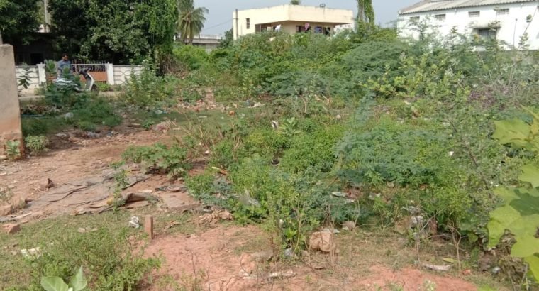 Residential Site for Sale at Gudarigunta, Kakinada