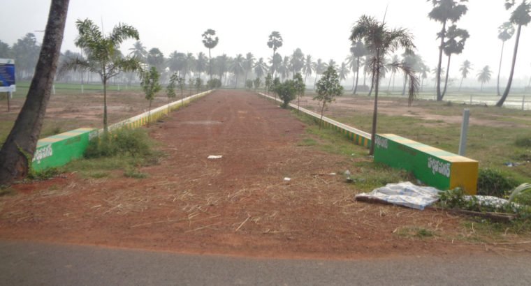 DTCP Plots for Sale at Ramachandrapuram Road, Velangi.
