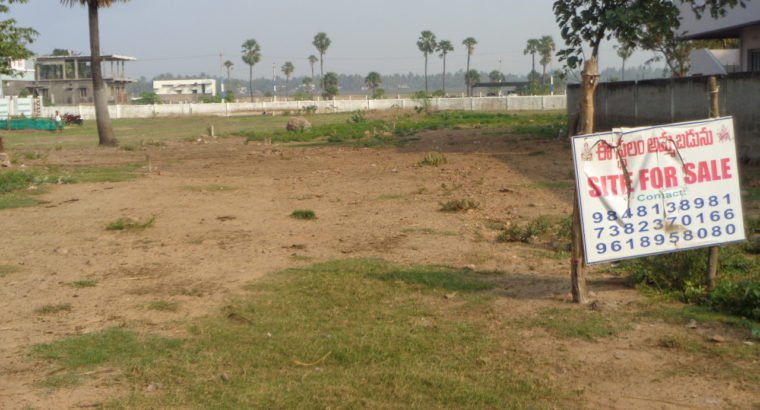Site for Sale at Gollapalem