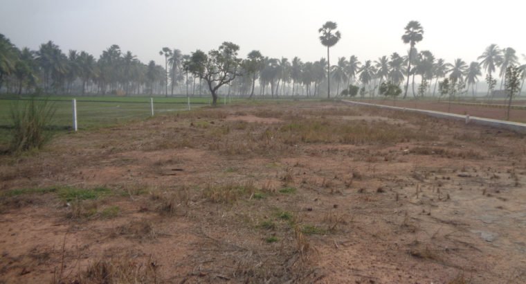 DTCP Plots for Sale at Ramachandrapuram Road, Velangi.