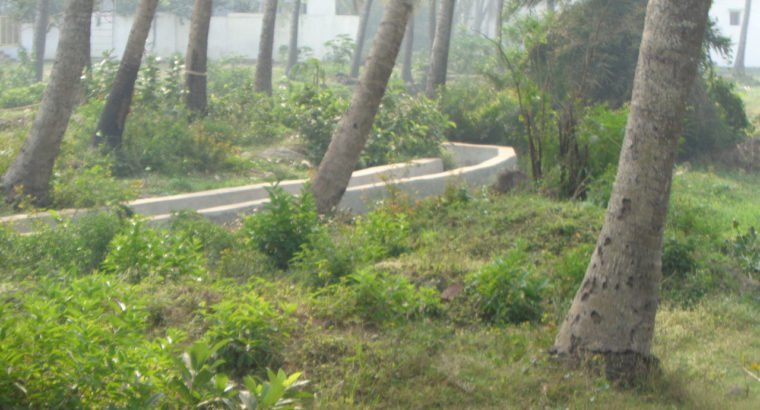 Residential Site for Sale at Nadakuduru, Near Kakinada