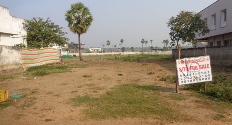 Site for Sale at Gollapalem