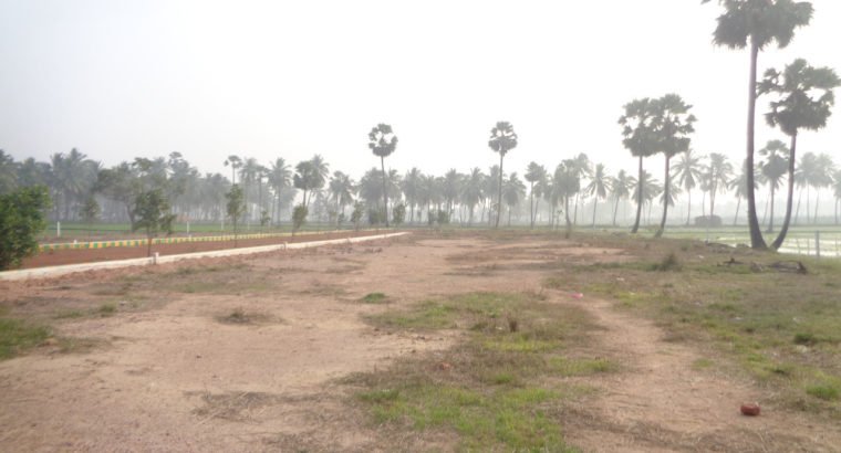 DTCP Plots for Sale at Ramachandrapuram Road, Velangi.