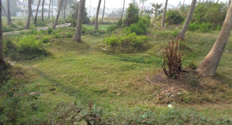 Residential Site for Sale at Nadakuduru, Near Kakinada