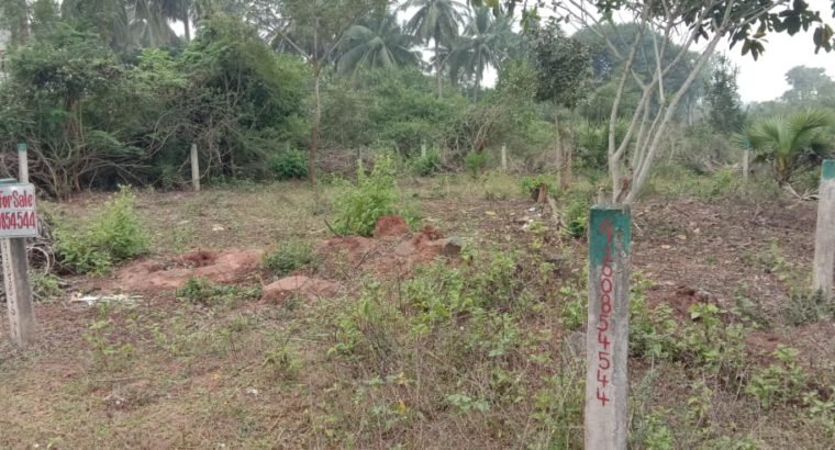 Plot for Sale Near 4th Bridge Road Diwancheruvu