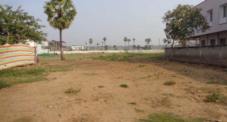 Site for Sale at Gollapalem