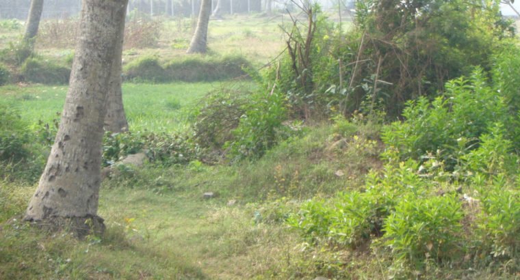 Residential Site for Sale at Nadakuduru, Near Kakinada
