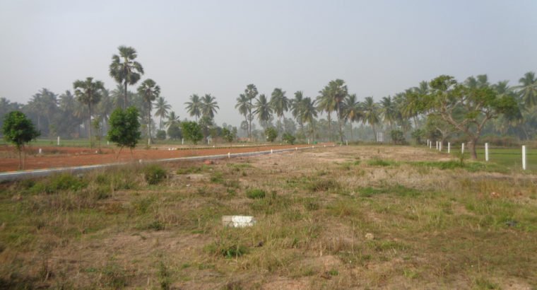 DTCP Plots for Sale at Ramachandrapuram Road, Velangi.