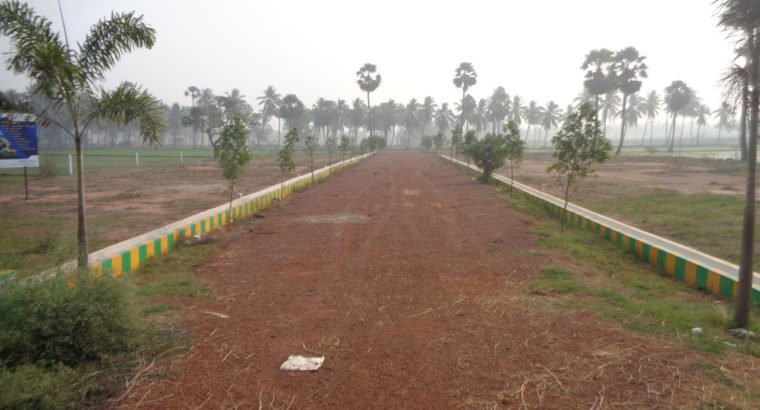 DTCP Plots for Sale at Ramachandrapuram Road, Velangi.