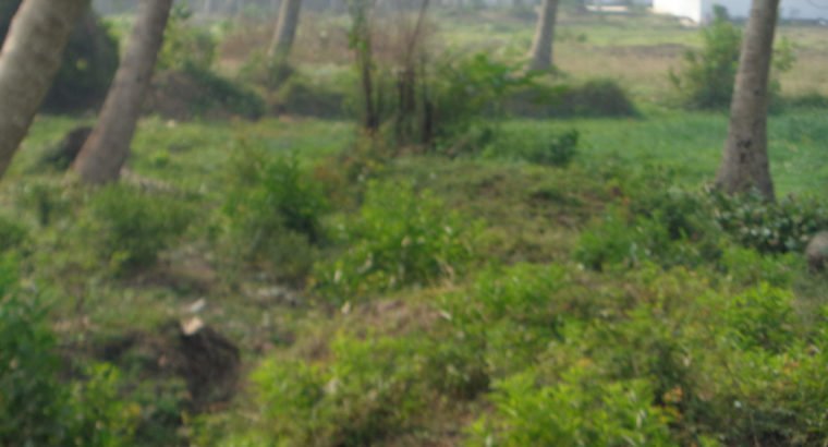 Residential Site for Sale at Nadakuduru, Near Kakinada