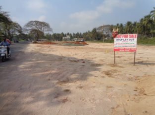 DTCP Plots for Sale at Tadepalligudem Road, Tallapalem Village, Nidadavolu