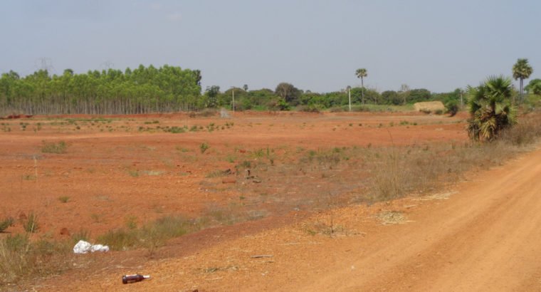 Land For Sale at P.Nayakampalli, Gandepalli Mandalam.