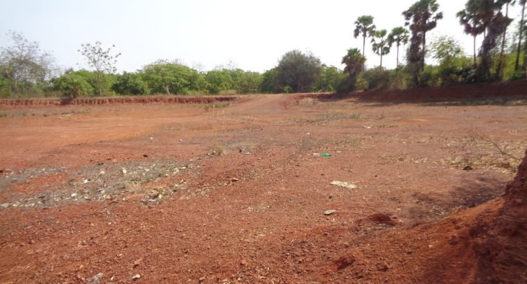 Land For Sale at P.Nayakampalli, Gandepalli Mandalam.