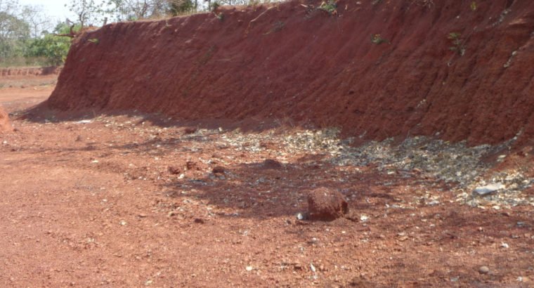 Land For Sale at P.Nayakampalli, Gandepalli Mandalam.