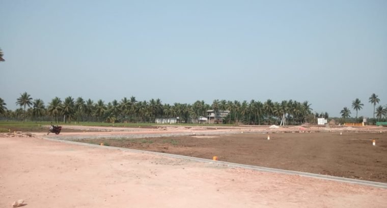 DTCP Plots for Sale at Ayyapa Nagar, Polamuru, Penumantra Mandalam.