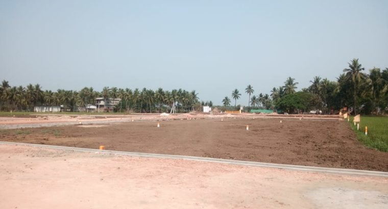 DTCP Plots for Sale at Ayyapa Nagar, Polamuru, Penumantra Mandalam.