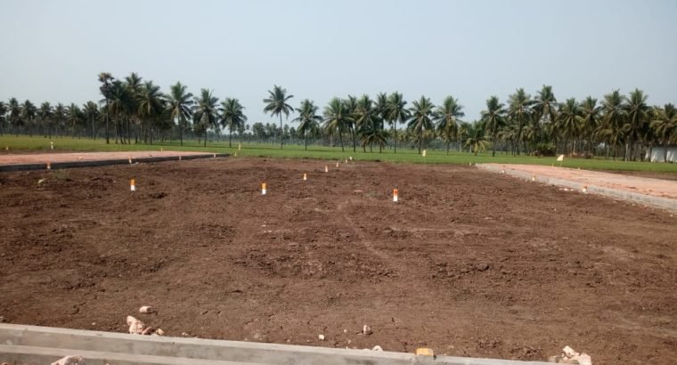 DTCP Plots for Sale at Ayyapa Nagar, Polamuru, Penumantra Mandalam.